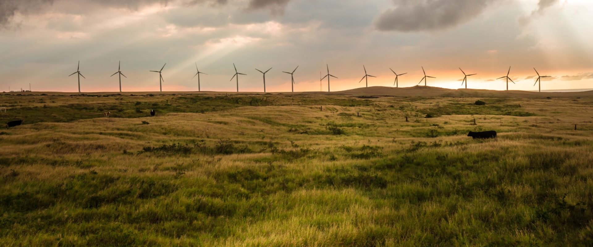 Hawaii's Renewable Energy Revolution: Achieving 100% Clean Energy Goals