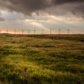 Hawaiian Electric's Renewable Energy Program: Increasing Grid Resilience