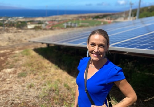 Hawaiian Electric: Promoting the Use of Renewable Energy